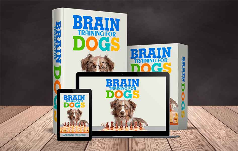 Brain Training for Dogs - Unique Dog Training Course!