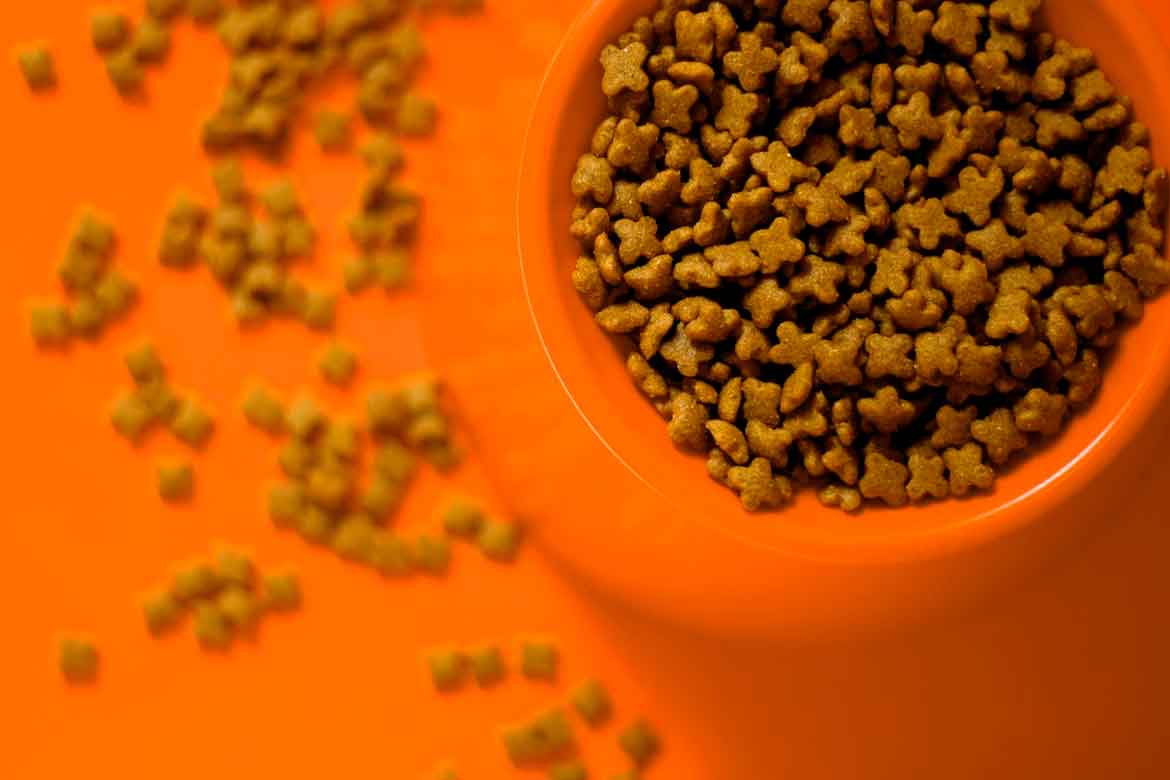 How to Read a Pet Food Label Like a Vet Would