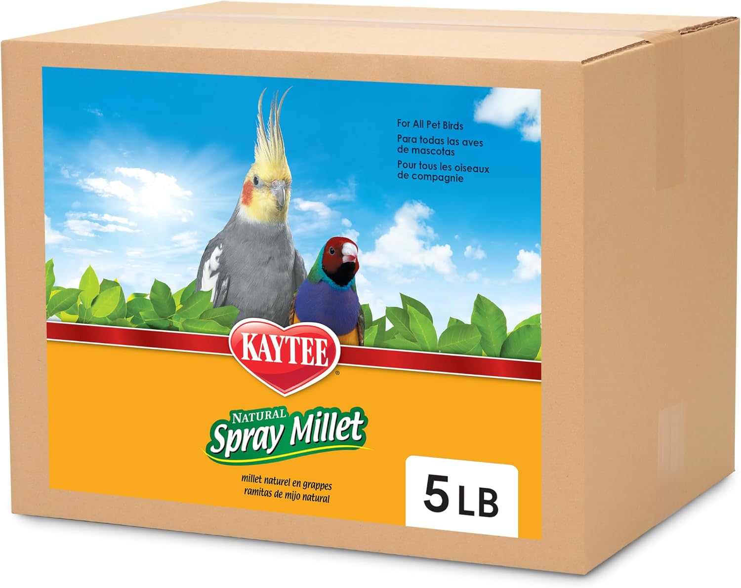 Kaytee Spray Millet Treat for Pet Birds, 5 Pound