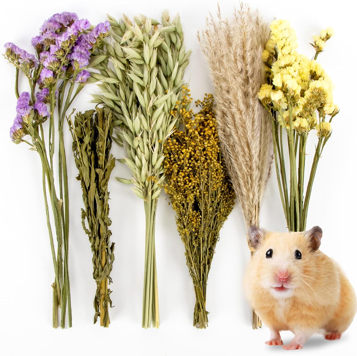Sukh Natural Dried Flower Sprays for Hamsters & Small Animals – Cage Decor & Chew Enrichment